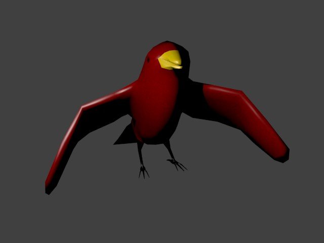 bird0000.jpg
