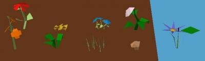 flora.jpg